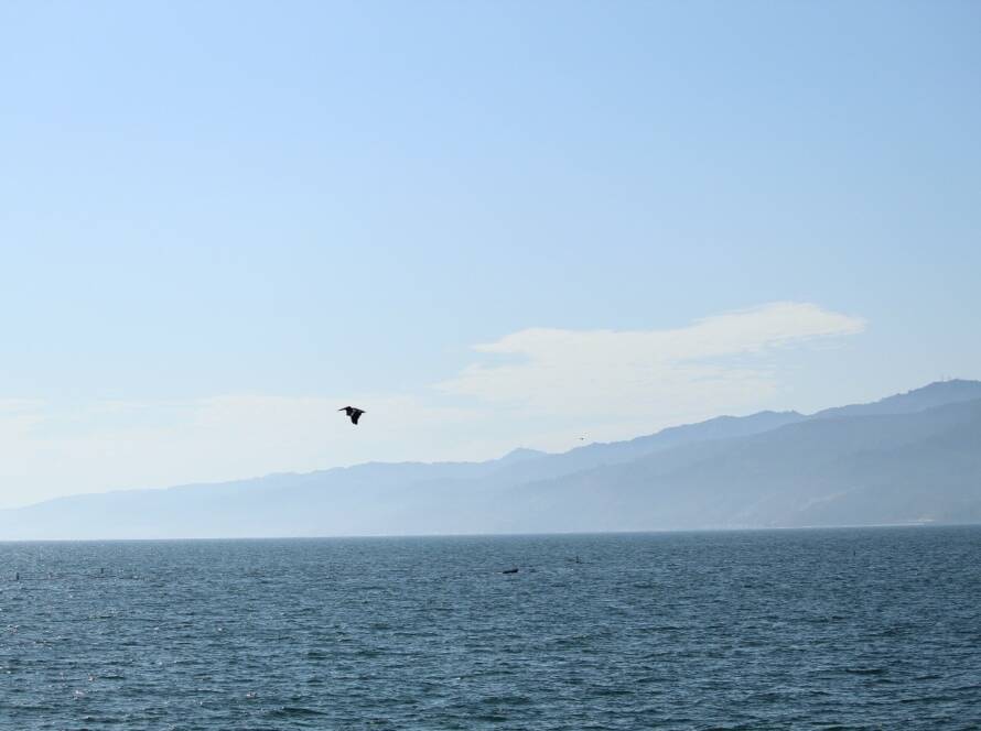 Vast ocean horizon symbolising the danger of misaligned sales teams and the clarity needed to stop SME revenue leaks.